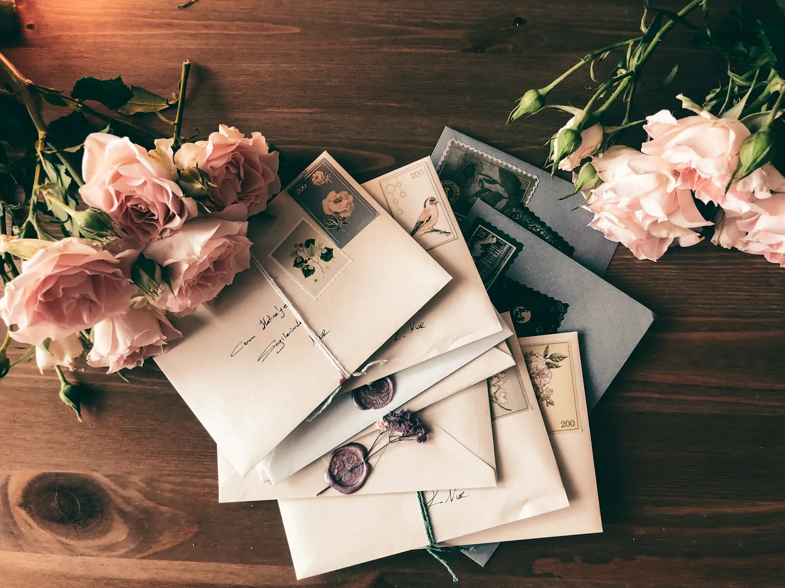 Pink roses on white wrapping paper — Roaring Wrap flower packaging in use