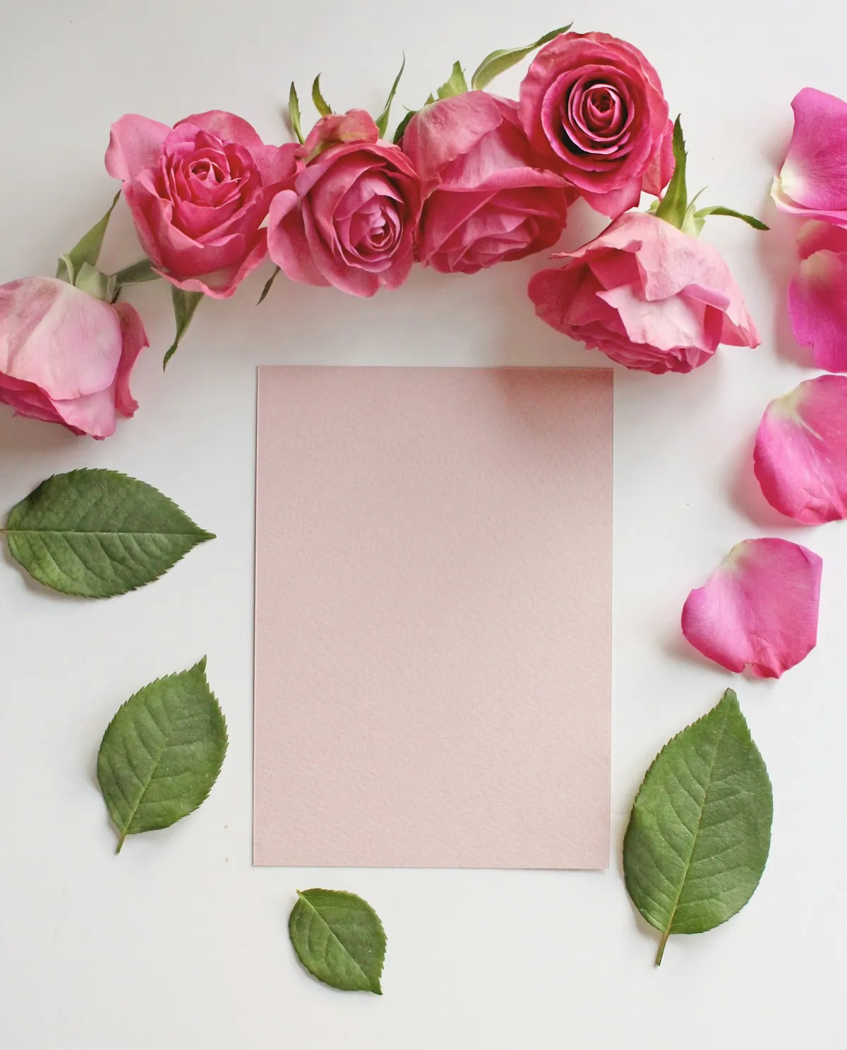 Wrapping Paper — Heavyweight matte sheets with soft tonal palettes.